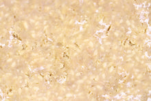 画像をギャラリービューアに読み込む, 手作り味噌セット・味噌屋監修手作りレシピ付き 手前味噌セット(麹味噌)2kg【荷物便】<嶋田味噌・麹醸造元>