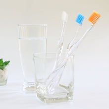 画像をギャラリービューアに読み込む, タナベ株式会社 VIGAKUファーストビガク 全5種