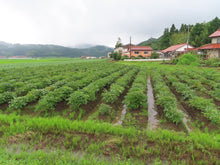 画像をギャラリービューアに読み込む, 薬王の薬湯(やくおうのやくとう)/Yaquo Warms Labo.(薬王ウォームズ研究所) <薬王製薬株式会社>